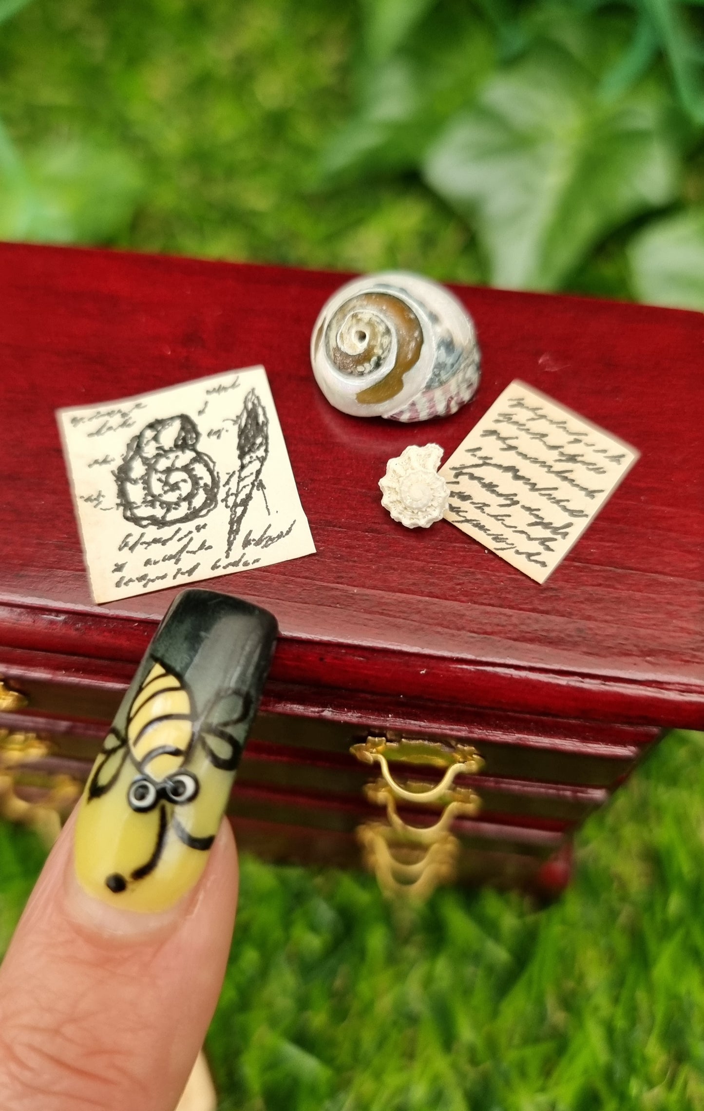 Miniature 1:12 scale chest of drawers sits on a green background. A finger points to a parchment on top of the chest with diagrams of shells. Two shells sit on the counter top beside it