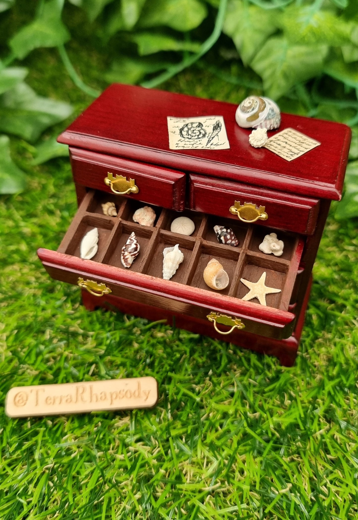 Miniature 1:12 scale chest of drawers sits on a green background. The chest is topped with shells and parchments, and one drawer is open, displaying shell specimens in divided sections. @terrarhapsody is written on wood beside it