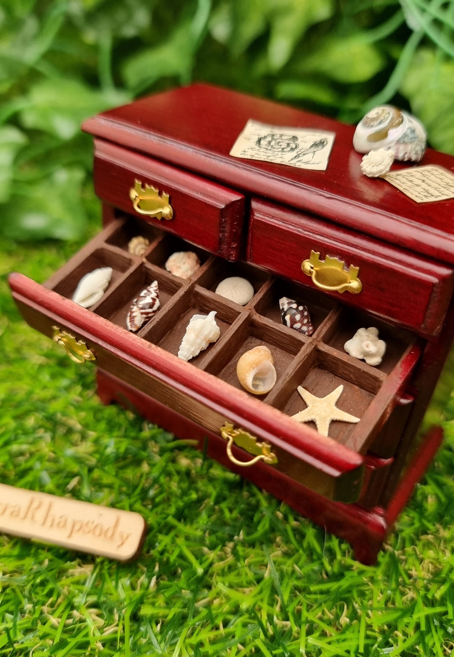 Miniature 1:12 scale chest of drawers sits on a green background. The chest is topped with shells and parchments, and one drawer is open, displaying shell specimens in divided sections. @terrarhapsody is written on wood beside it