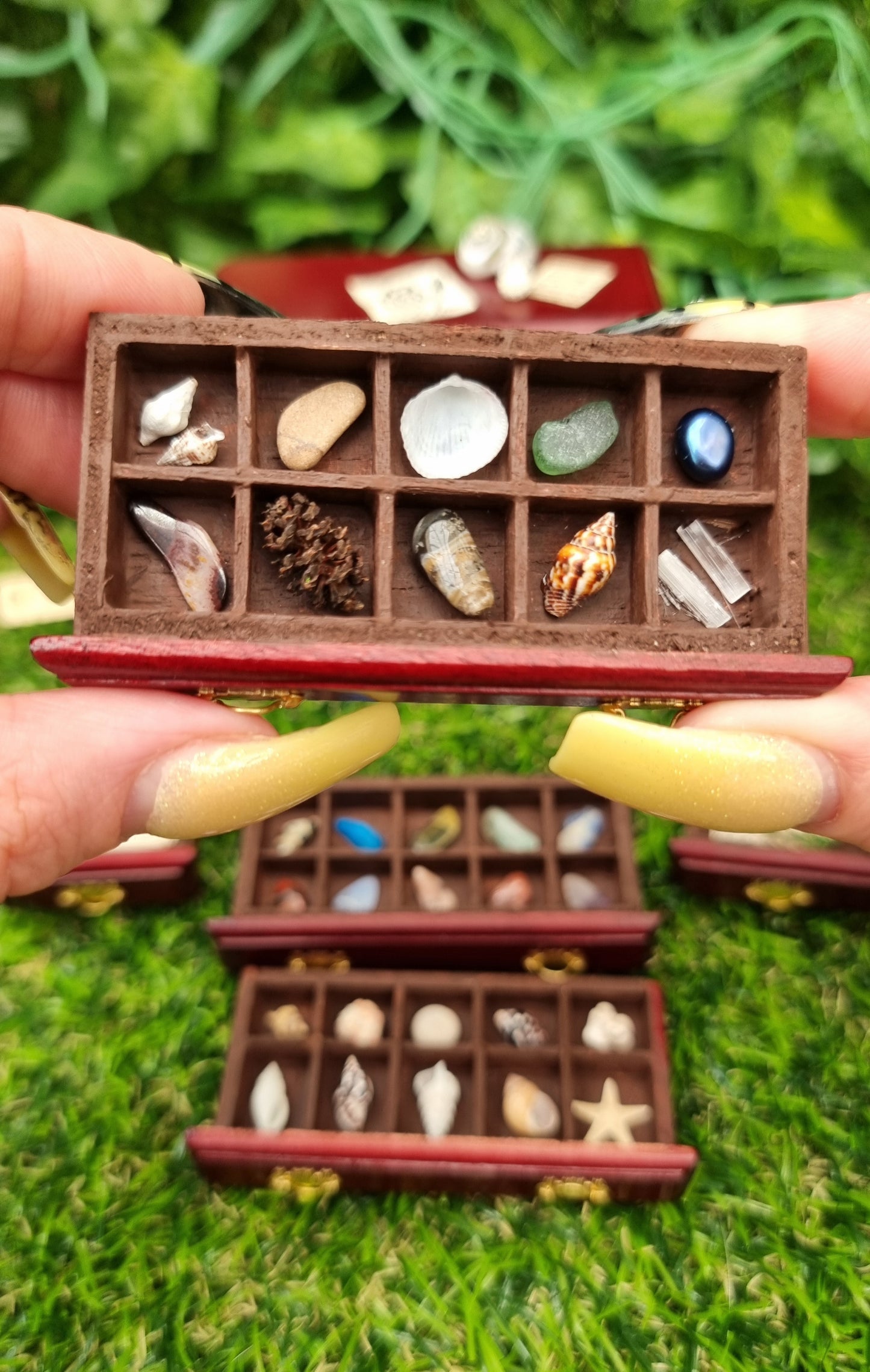 Miniature 1:12 scale chest of drawers sits on a green background. The chest is topped with shells and parchments. A hand holds one drawer, displaying rock and mineral specimens in divided sections. 2 other drawers sit in front of the chest