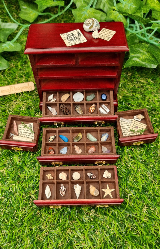 Miniature 1:12 scale chest of drawers sits on a green background. The chest is topped with shells and parchments, and 5 drawers are laid out in front, displaying rock, mineral and shell specimens in divided sections