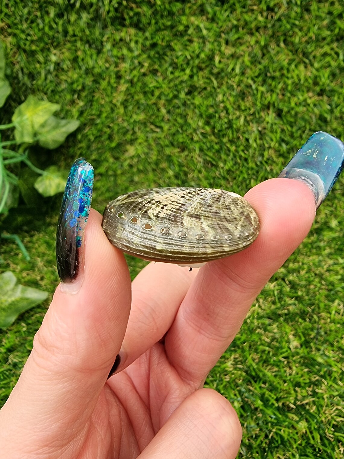 Underside of 1:12 scale Miniature abalone shell dish