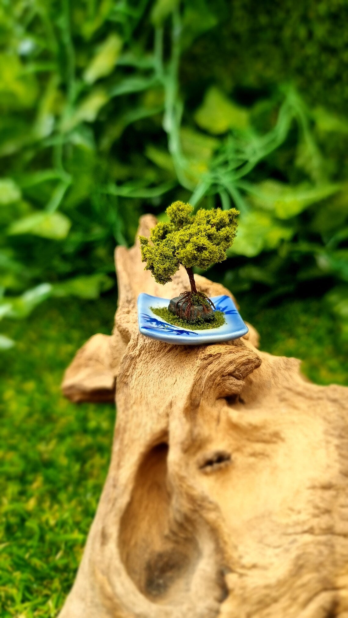 1:12 scale bonsai tree sits on a piece of driftwood. The bonsai is mounted on a small stone on a blue and white square plate with moss