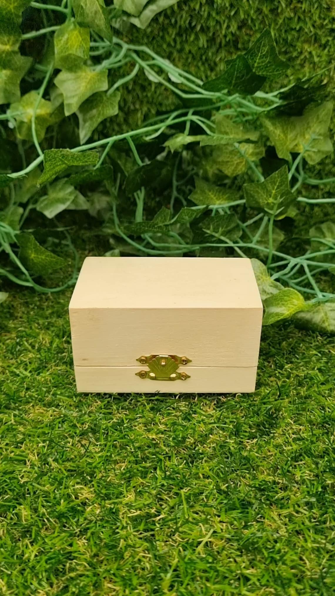 A small brown wooden box with a gold coloured catch is displayed against a green grass and ivy background.