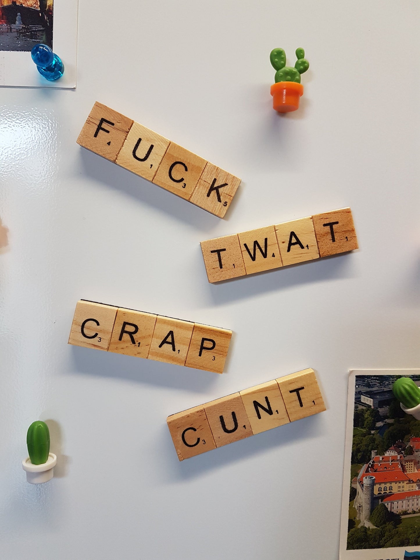 Offensive Scrabble custom fridge magnets refrigerator magnets swearwords- handmade offensive gifts