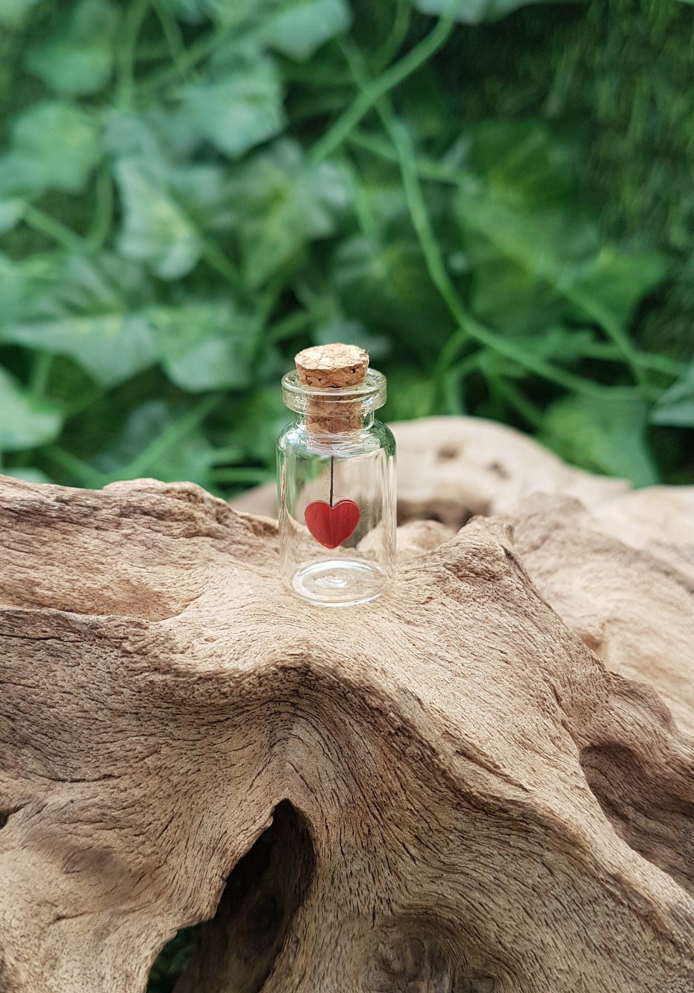 A miniature glass jar with a cork lid sits on a piece of driftwood against a green ivy background. The jar contains a red sequin heart hanging on black cotton from the cork inside the jar.