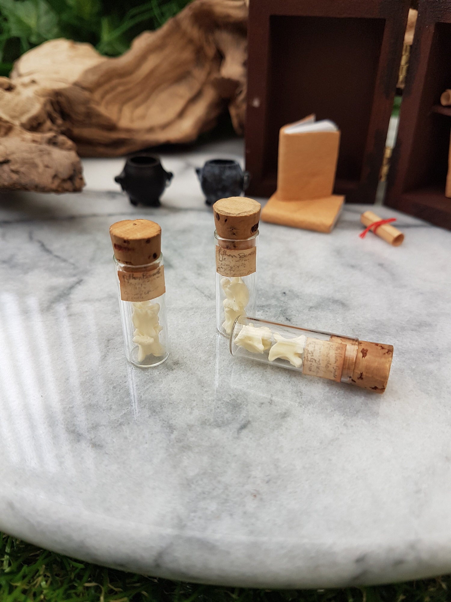 3 small cylindrical tube glass vial with cork lid lids sit on a marble slab. The vials contains two white vertebrae bones and small brown, aged labels with Python Bones. One vial is on its side. An apothecary cabinet is in the background