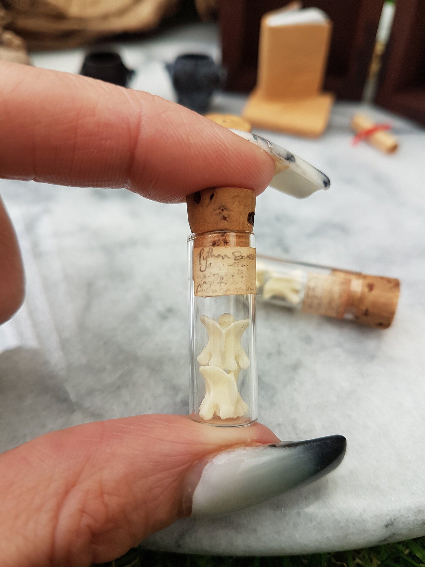 A small cylindrical tube glass vial with a cork lid is held between forefinger and thumb. The vial contains two white vertebrae bones. It bears a small brown, aged label with Python Bones. More vials with bones are seen in the background