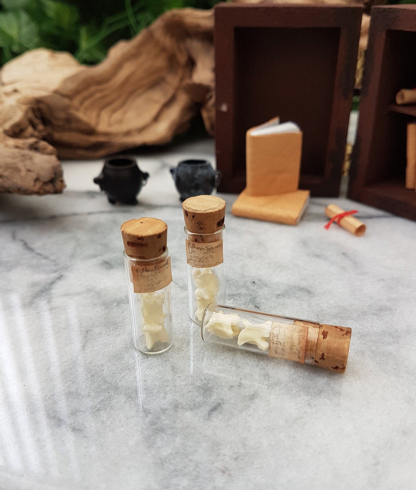 3 small cylindrical tube glass vial with cork lid lids sit on a marble slab. The vials contains two white vertebrae bones and small brown, aged labels with Python Bones. One vial is on its side. An apothecary cabinet is in the background