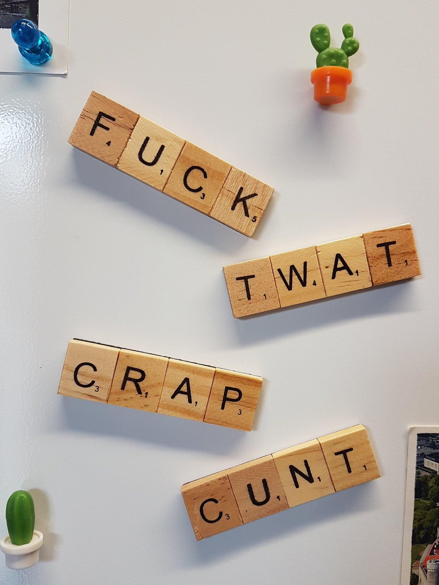 Offensive Scrabble custom fridge magnets refrigerator magnets swearwords- handmade offensive gifts