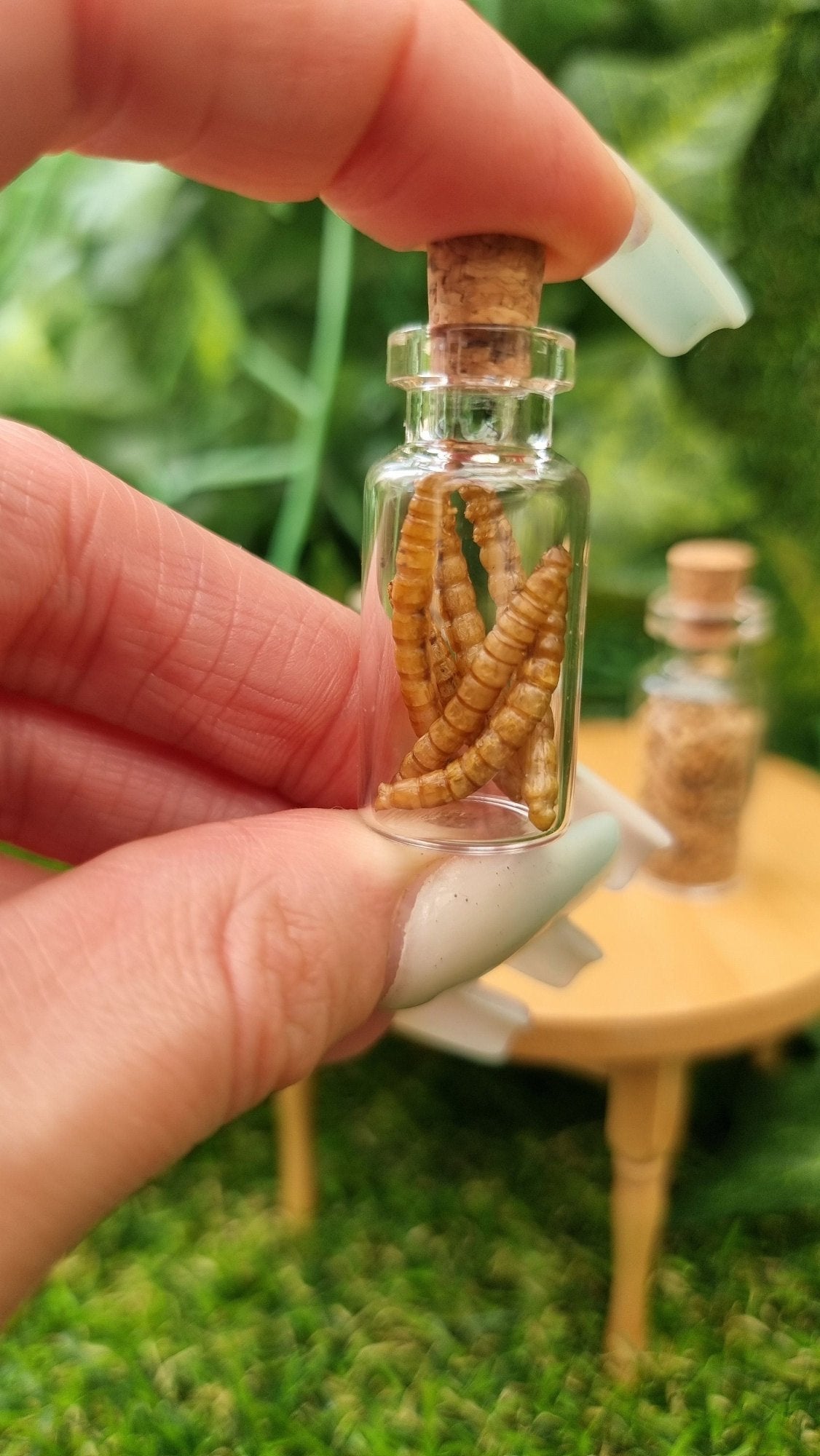 A hand holds a 1:12 scale glass bottle with cork stopper containing long, thin ridged brown dried worms. A miniature table sits in the background