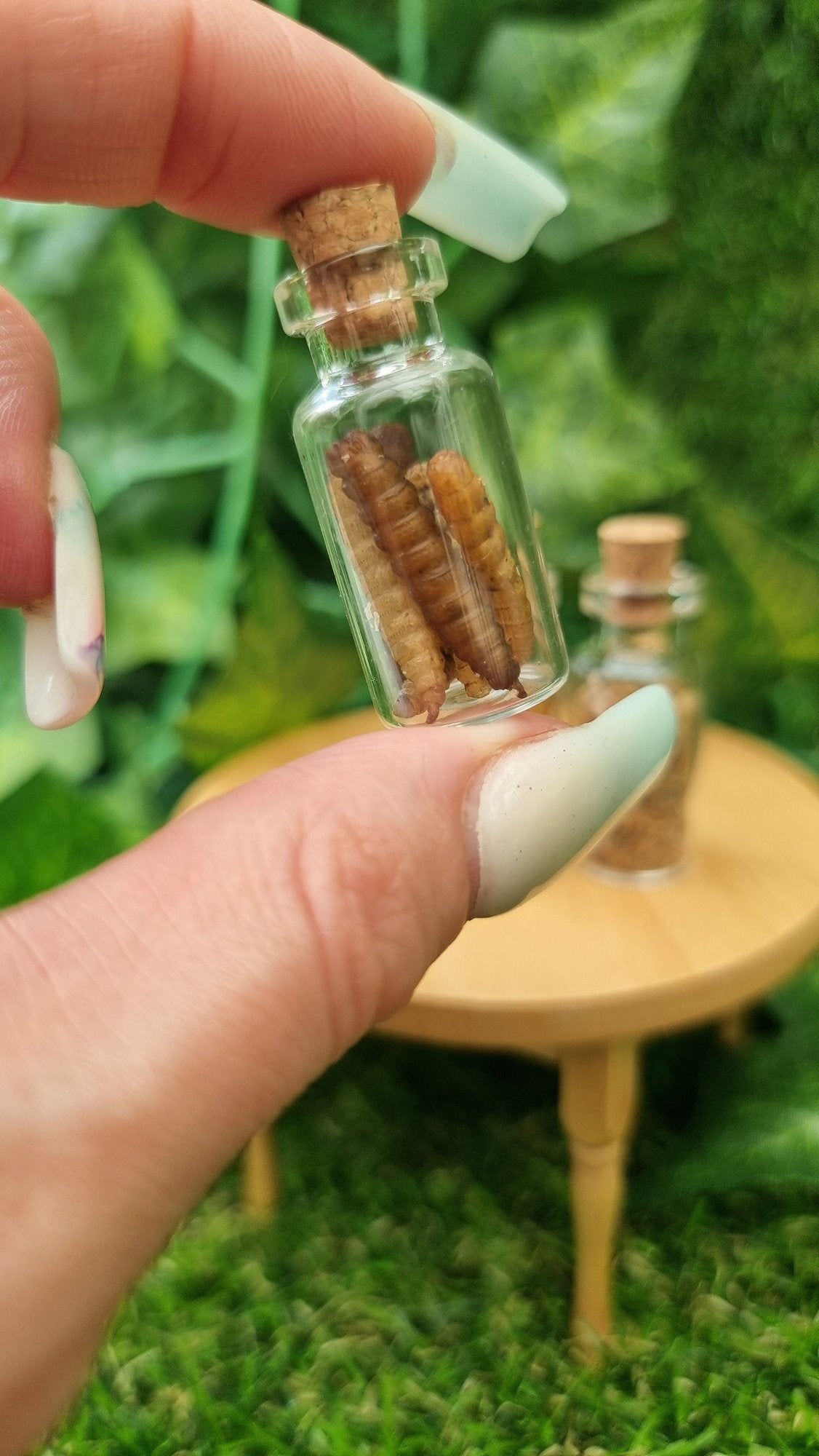 A hand holds a 1:12 scale glass bottle with cork stopper containing fat dried brown ridged worms. A miniature table sits in the background