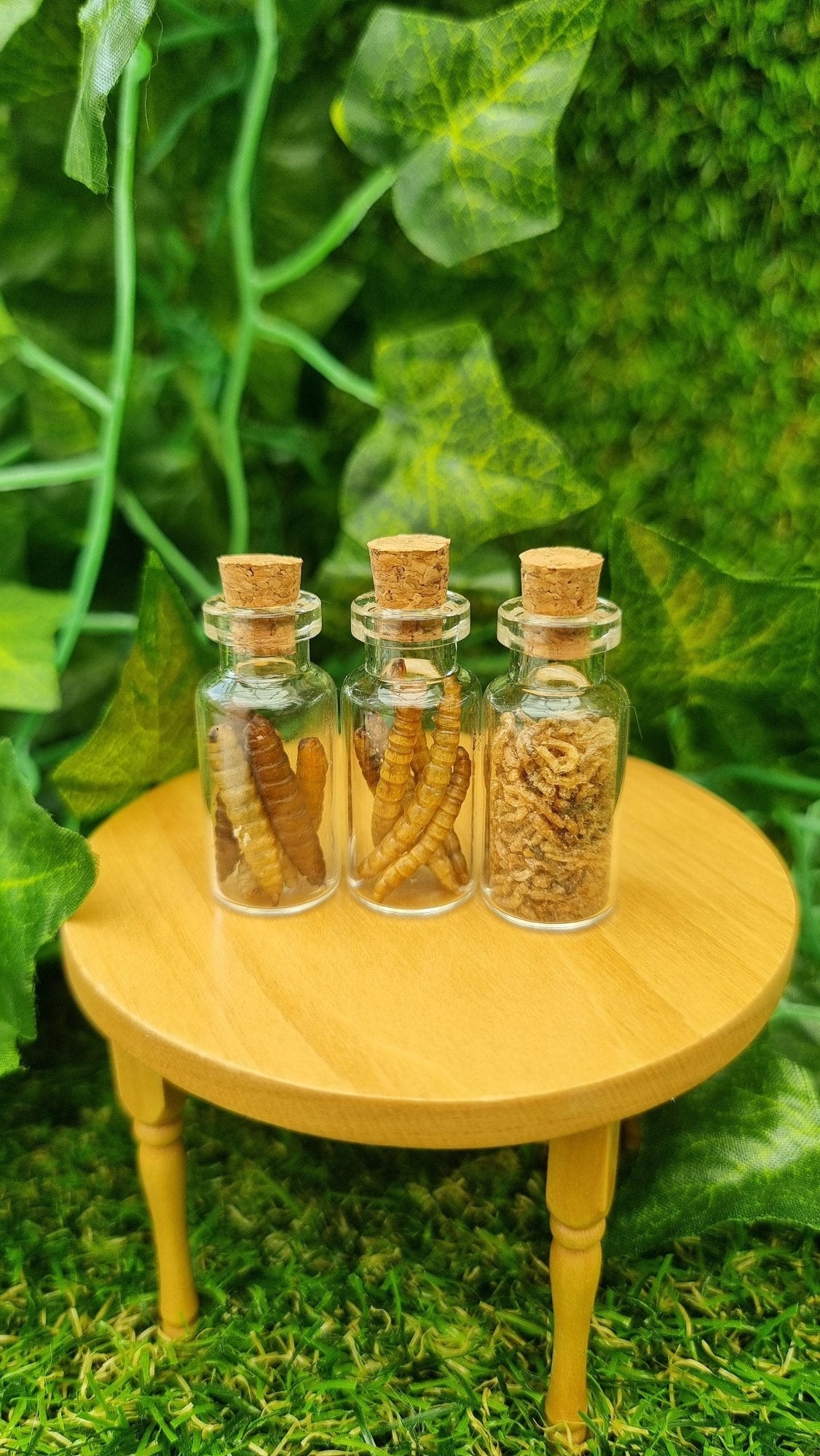 3 1:12 scale glass bottle with cork stoppers sit on a miniature table. 1 bottle contains fat brown dried worms, 1 contains thinner brown dried worms and the other has small, thin worms.