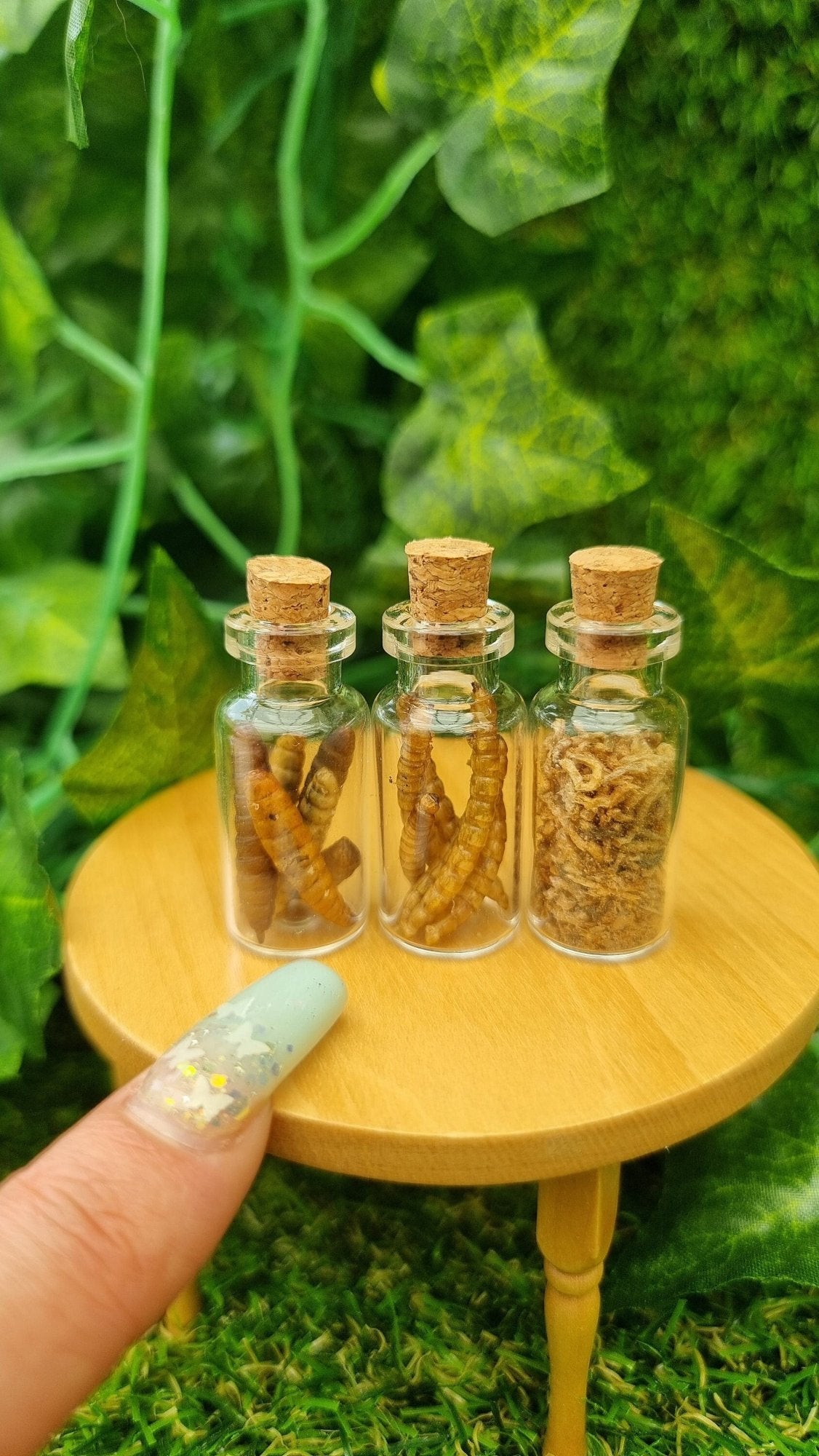 3 1:12 scale glass bottle with cork stoppers sit on a miniature table. 1 bottle contains fat brown dried worms, 1 contains thinner brown dried worms and the other has small, thin worms. A finger points for scale