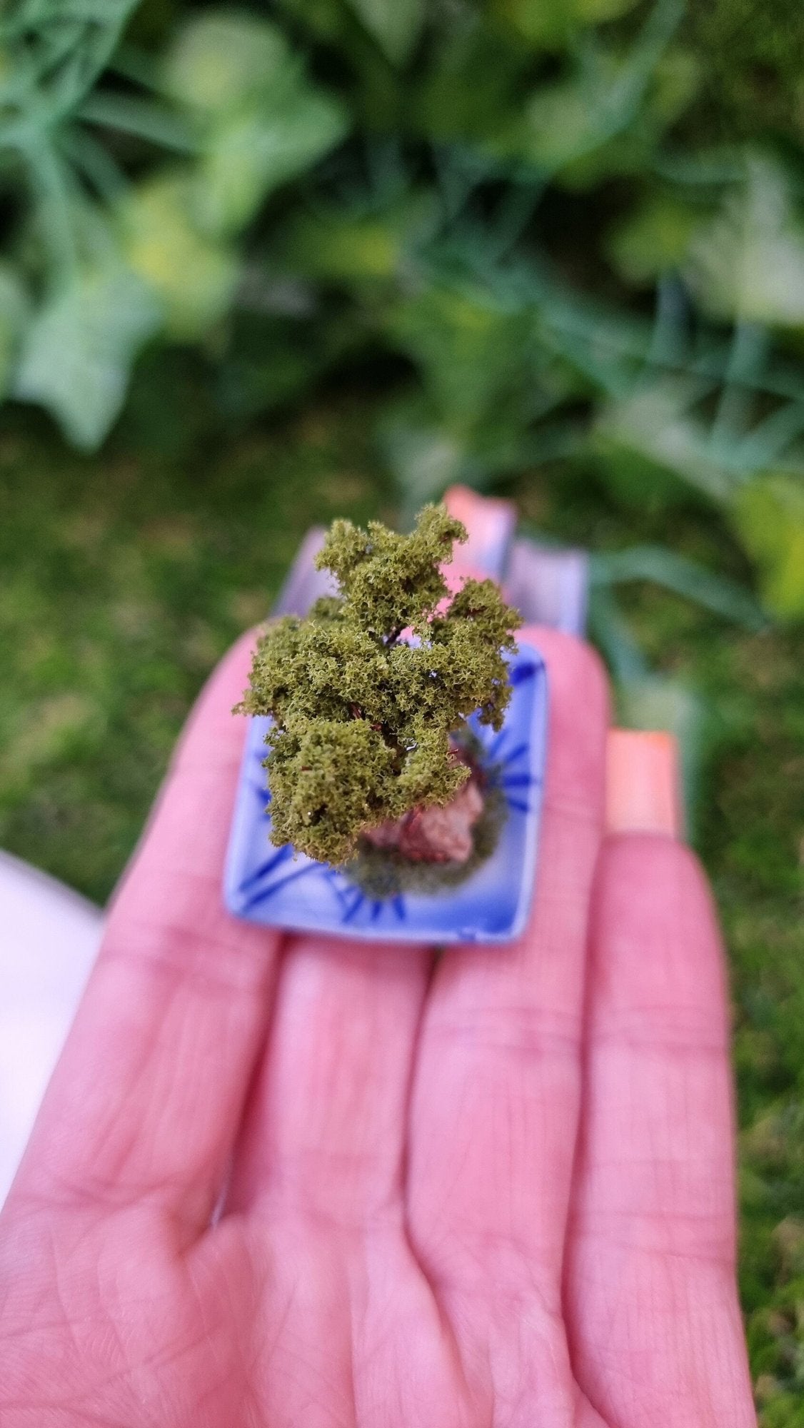 Top view of a 1:12 scale bonsai tree siting in the palm of a hand. The bonsai is mounted on a small stone on a blue and white square plate with moss