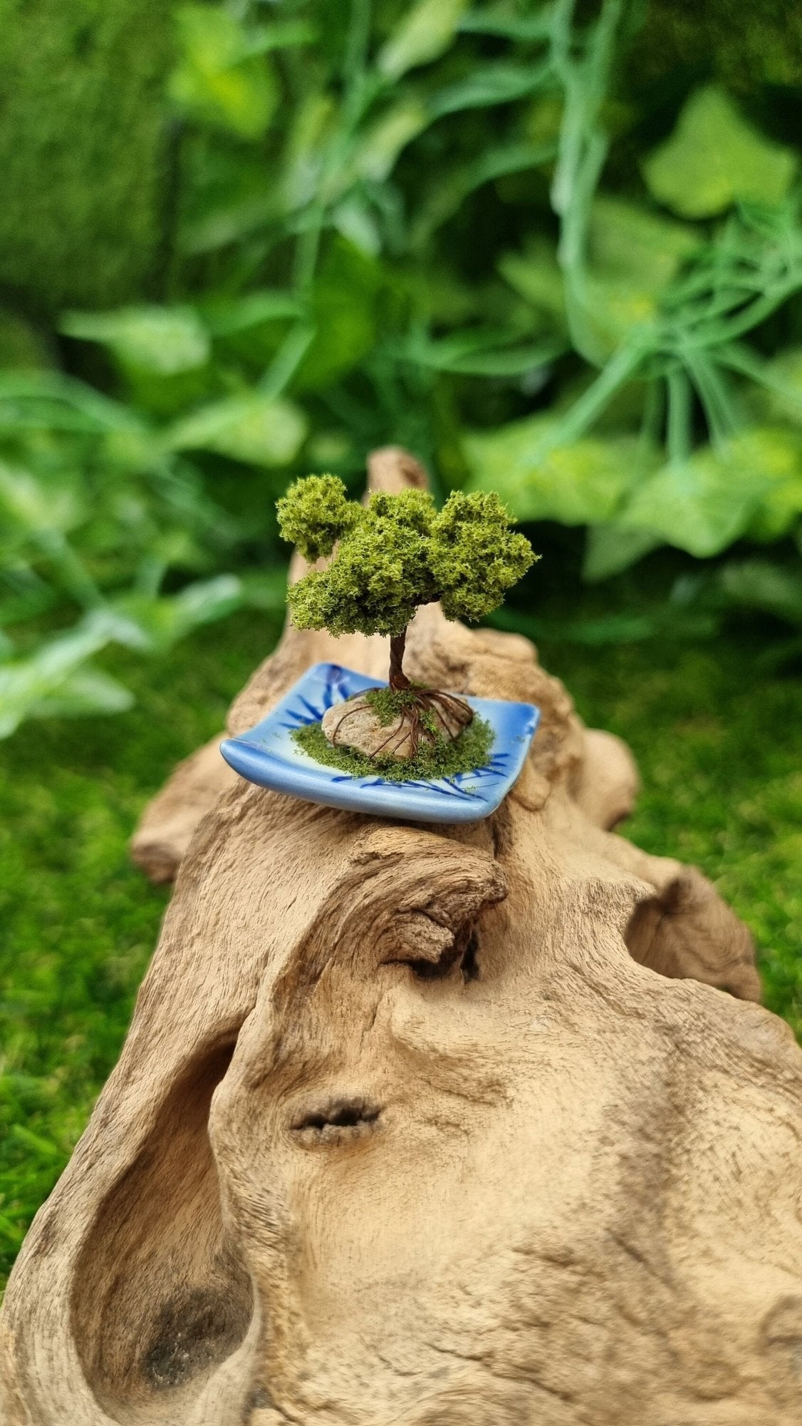 1:12 scale bonsai tree sits on a piece of driftwood. The bonsai is mounted on a small stone on a blue and white square plate with moss